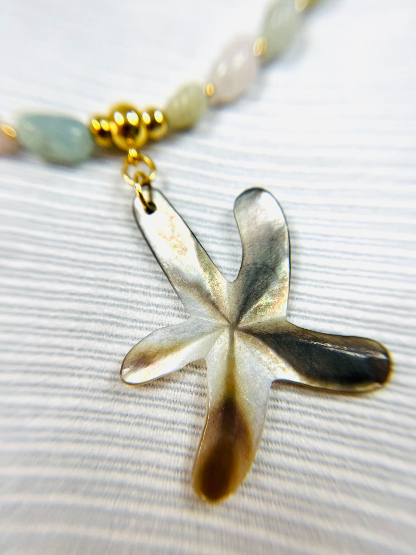 Colección Starfish